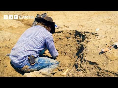 Cowboy Fossil Hunter Finds Something Truly Elusive | Walking with Dinosaurs | BBC Earth Explore