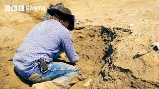 Cowboy Fossil Hunter Finds Something Truly Elusive | Walking with Dinosaurs | The Travel Edit