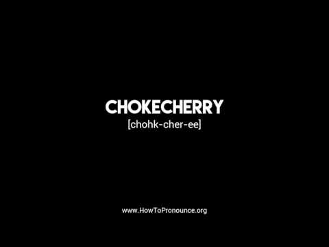 How to Pronounce "chokecherry"