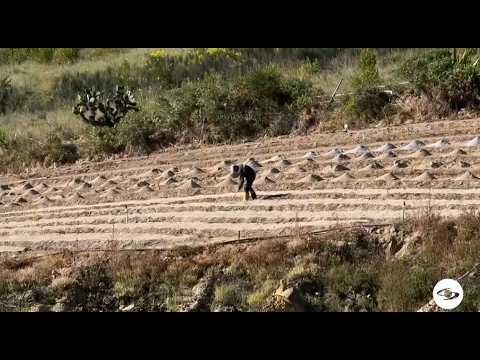 De suelo árido a finca productiva - La Finca de Hoy