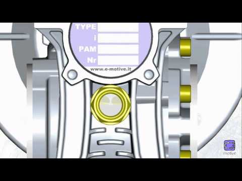 Electric AC Worm Gear Motor