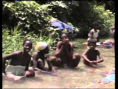 (25) La Collection COUSTEAU - Haïti  L’eau de chagrin (1986)