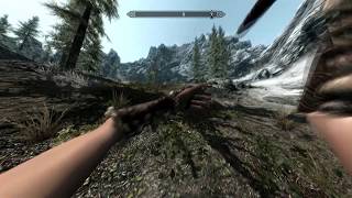 Elder Scrolls Skyrim : How To Change FOV  [PC]