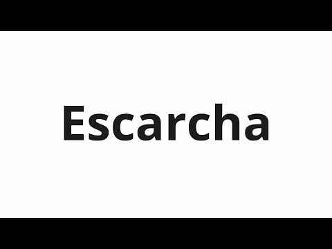 How to pronounce Escarcha