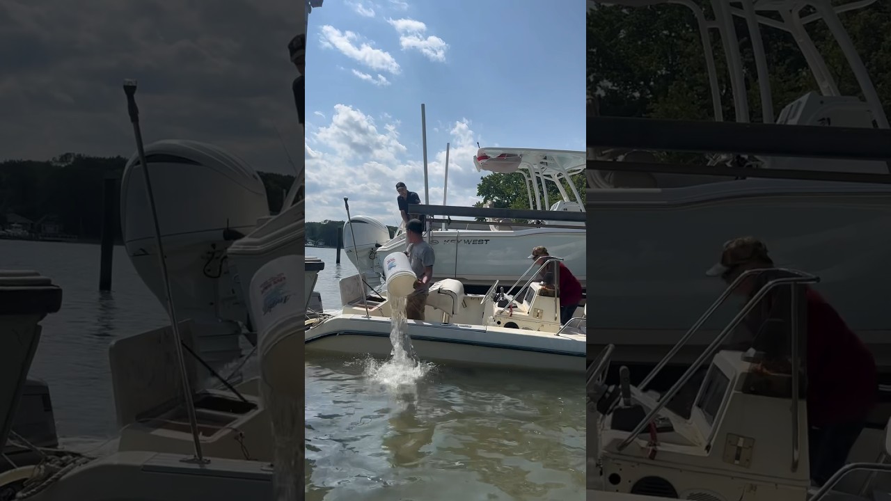 How to Acquire a Boat For Free