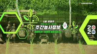 [ 주간농사정보 ] 5월 셋째주