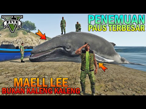 PREMAN TERKUAT TEMUKAN PAUS TERBESAR DIBUMI - GTA 5 YOUTUBER KOCAK PARODY