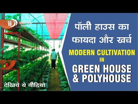 , title : 'Polyhouse & Greenhouse का बिज़नेस कैसे शुरू करे | How to Start Polyhouse & Greenhouse Business'