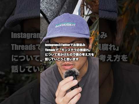 なぜ私のモンステラ・デリシオーサは泣いているのですか？