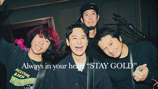 Hi-STANDARD＆妻夫木聡が「STAY GOLD」で共演！「Indeed」新TVCM「STAY GOLD」篇+インタビュー #ハイスタ