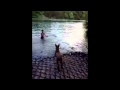 Stryker First Swim Mp4