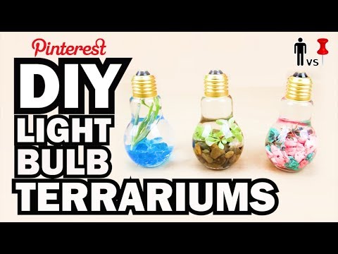 DIY Light Bulb Terrariums - Man Vs Pin - Pinterest Test #56