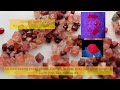 Identify Red Spinel vs Rubies | Spinel Gemstone Price