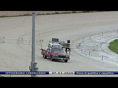 Aversa trotto 7 Marzo 2020 - Prova di qualifica e riqualifica
