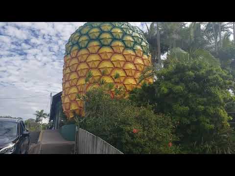 The Big Pineapple | Sunshine Coast