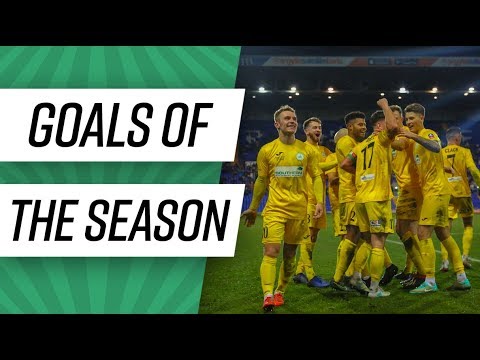 Chichester City FC | Goals Of The Season 19/20