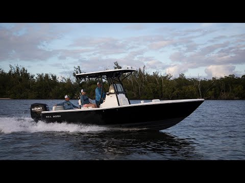 Boat Review - Sea Born LX24 LT