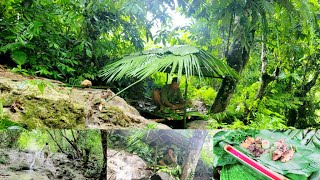 Survive in the forest alone, catch fish, crabs, and pick wild vegetables for food.| Ep2
