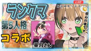 【#第五人格 】おはよう　人形師Aバッチ目指す！？朝ランクマ(華月ちゃんとデート)　『コラボ』 #第五人格 ＃identityv#新人vtuber #ゲーム実況ライブ＃Avvy#shorts
