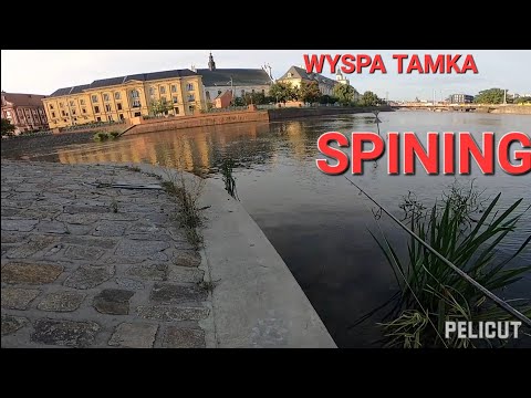 STREET FISHING ‐ ODRA  WROCŁAW