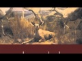 Ola Podrida - A Clouded View