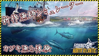 【Fishing: North Atlantic】新作の漁師シミュレーターでカジキ漁を体験！【Steam】フィッシングノースアトランティック
