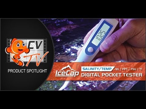 IceCap Salinity & Temperature Digital Tester