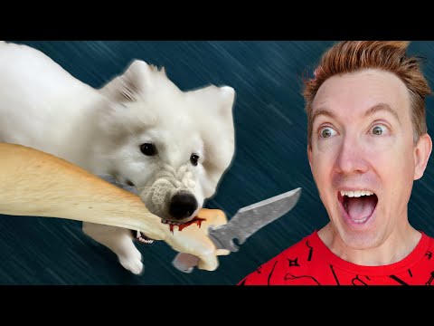 My Puppy Attacked the Thief!