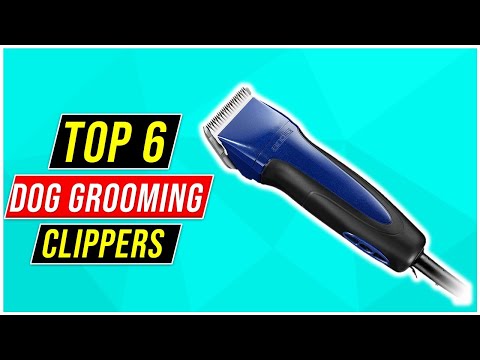 ✅Best Dog Grooming Clippers In 2023-Top 6 Clippers...