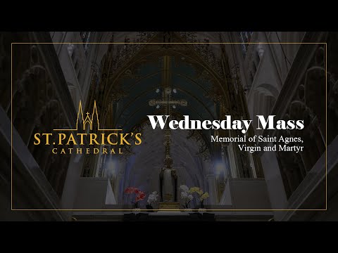 Wednesday Mass - January 21st 2026