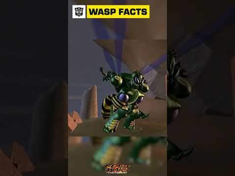 Wasp fun facts with Waspinator #transformers #youtubeshorts