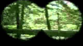 Gregorian  - With Or Without You