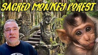 Stunning Bali and Sacred Monkey Forest Ubud