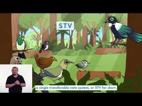 How to Sign Determined in NZSL