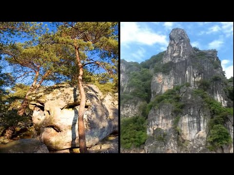 Our Petrified Giant Past - Petrified Titans, Giants & Huge Ancient Trees - Short Version Video