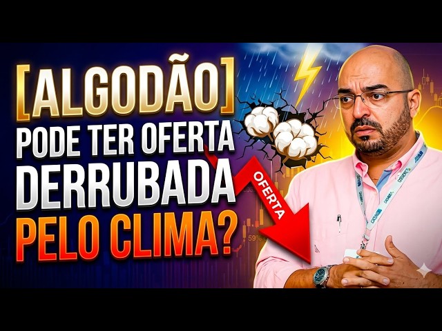 Algodão pode ter oferta derrubada pelo Clima?