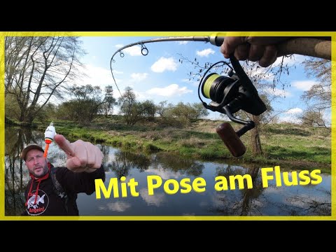 Angeln mit der Pose am Fluss 🎣 mit Naturködern  auf der Suche nach dicken Fischen