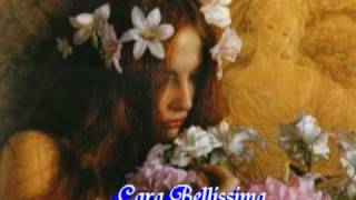 Pooh Cara Bellissima  Pooh 75  78 (1978)  (By Floris) Poohstory