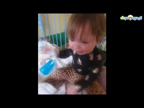 Obrazek poglądowy filmu YouTube