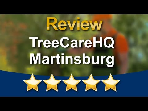 Single Video thumbnail