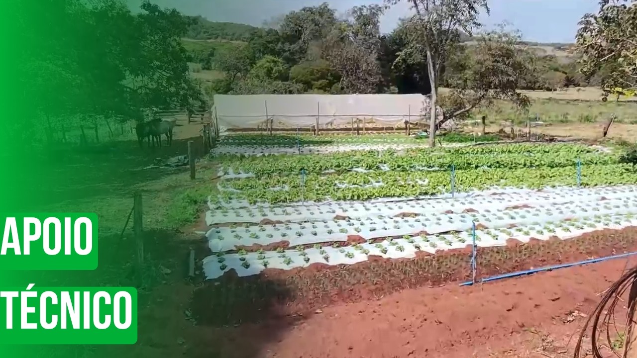 Apoio técnico