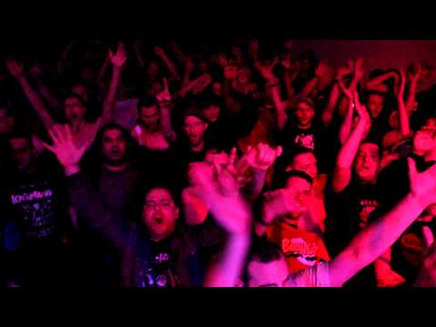 Viva Lokalmatador 23.11.2012