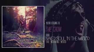 NAKED SOUL IN THE WOOD - The Crow
