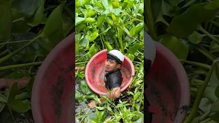Kêu thức dậy chi hong biết. #letuankhang #giaitri #ASUSExpertBook #haihuoc #shorts #windnet
