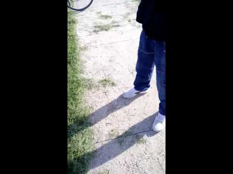 Pelea de lombris vs sapo