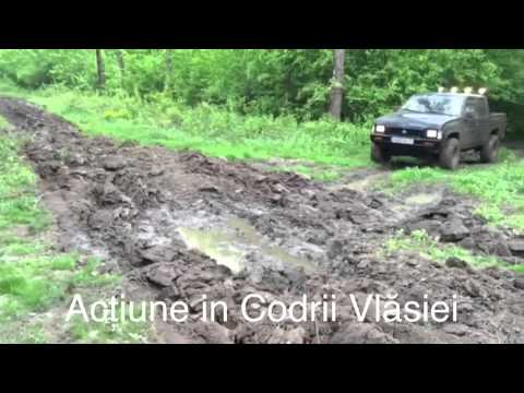 Acțiune in Codrii Vlasiei