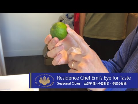 [El ojo del chef de la residencia Emi para el gusto - Cítricos de temporada / El ojo del chef de la residencia Emi para el gusto - Cítricos de temporada]