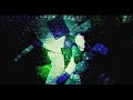 Cayo Banks Many Men Official Music Video Dir By Vsnkeem ZOOKEEPER
