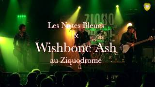 Wishbone Ash   Ziquodrome