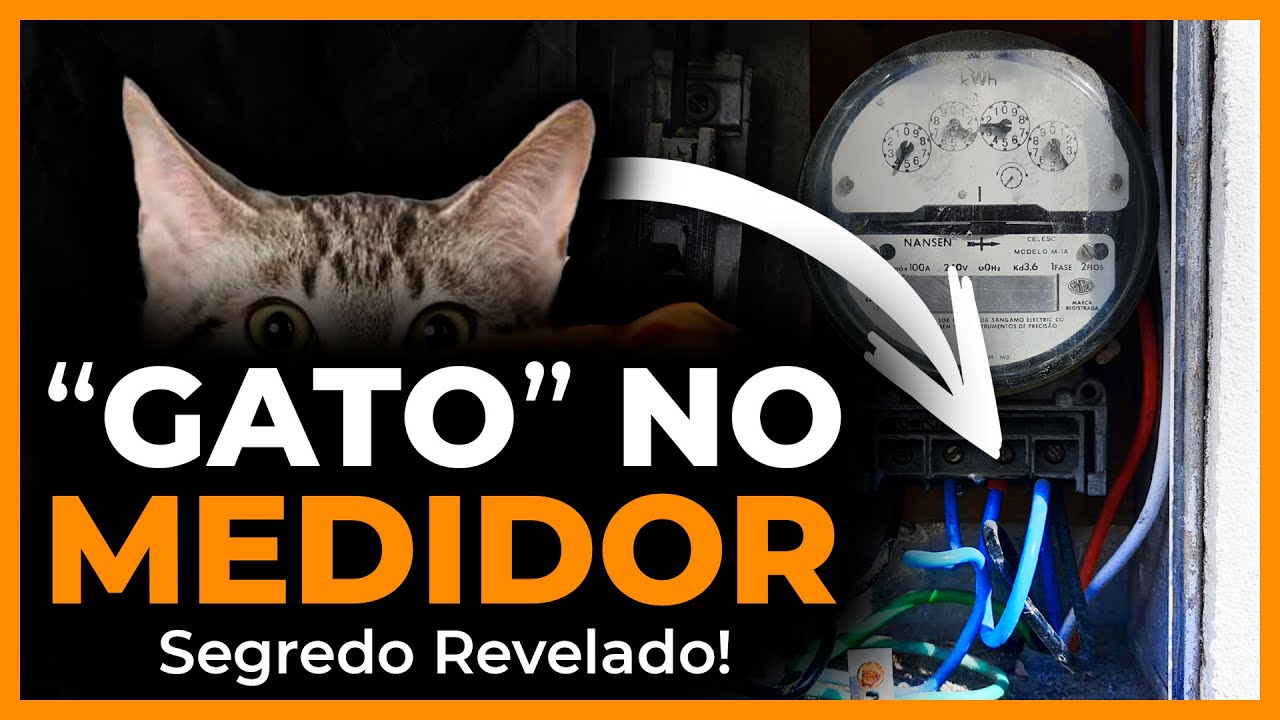 GATO NO RELÓGIO DE ENERGIA - Como essa fraude é descoberta